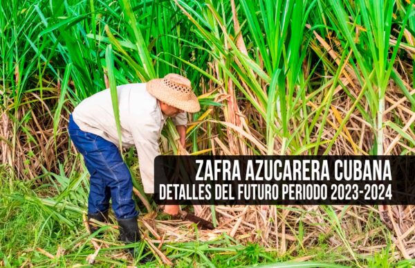 Es Cierto que Rusia y Bielorusia Impulsarán la Zafra Azucarera Cubana