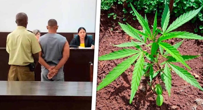 Impactante Condena en Santiago de Cuba: 12 Años de Prisión por Portar Marihuana