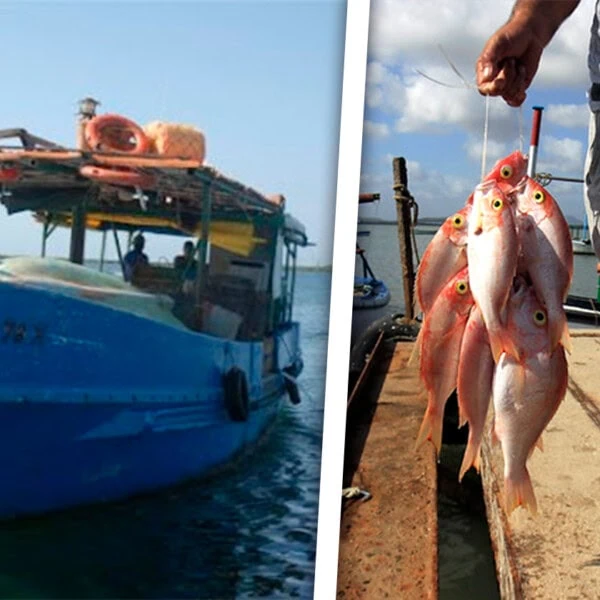 15500 Pescadores Menos en 2023 ¿Qué pasa en la Industria Pesquera Cubana?