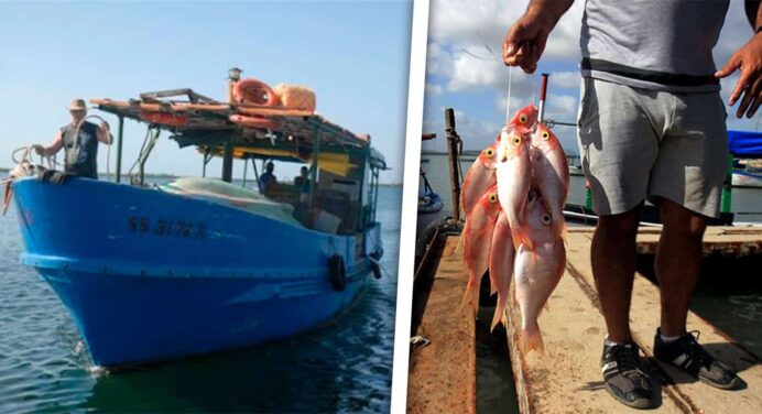 15500 Pescadores Menos en 2023 ¿Qué pasa en la Industria Pesquera Cubana?