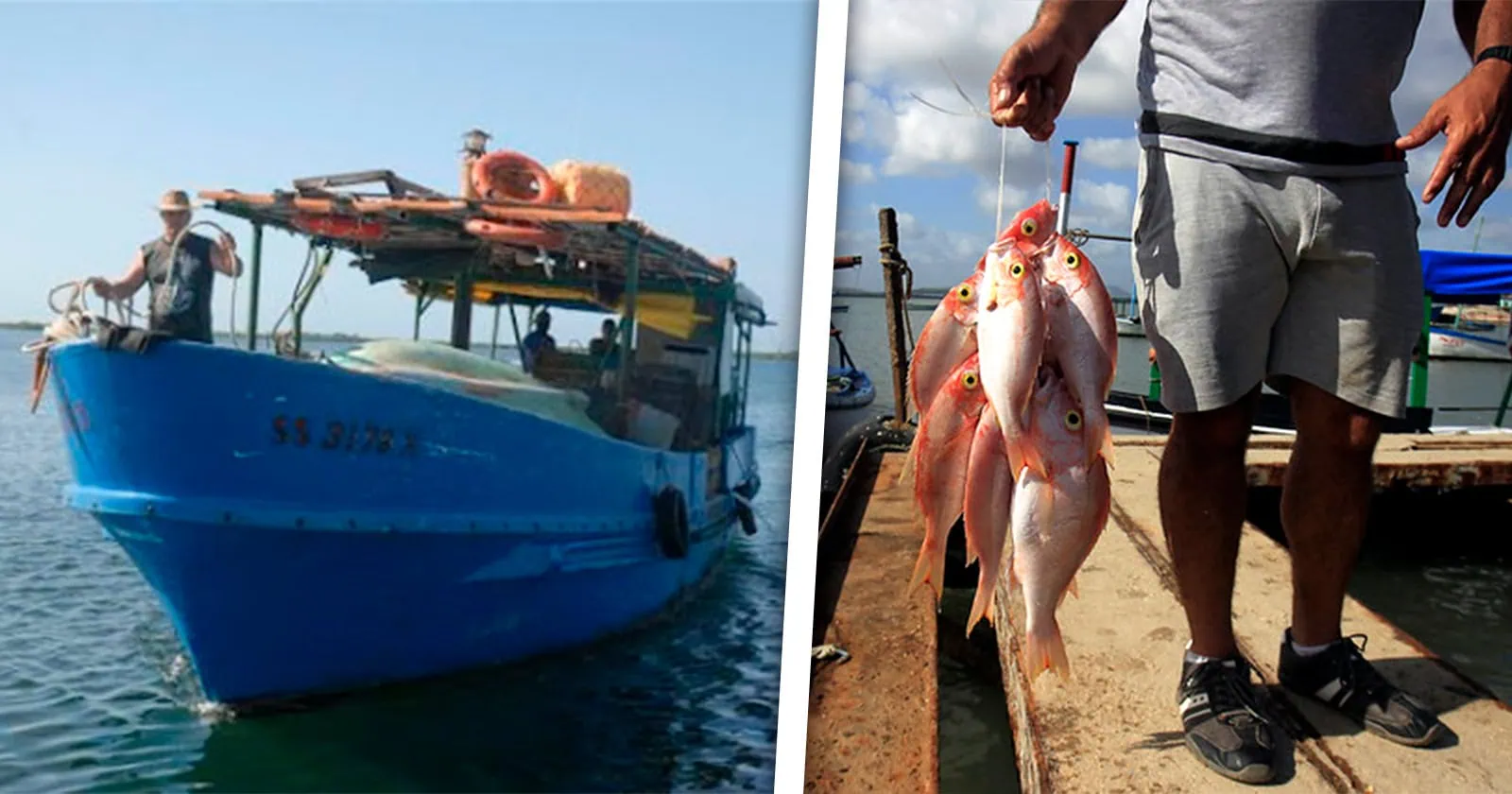 15 500 Pescadores Menos en 2023 ¿Qué Pasa en la Industria Pesquera Cubana?