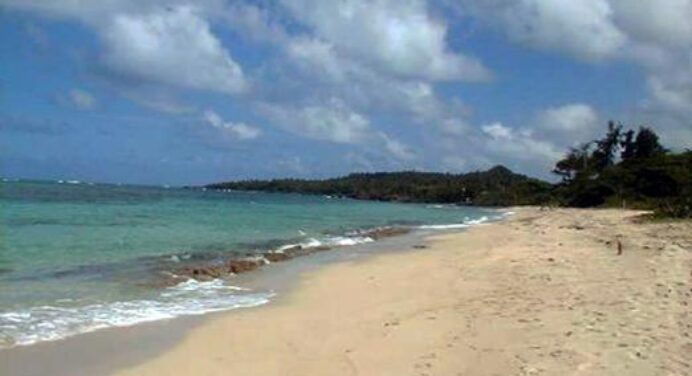Playa Maguana