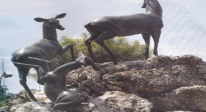 Zoológico de La Habana