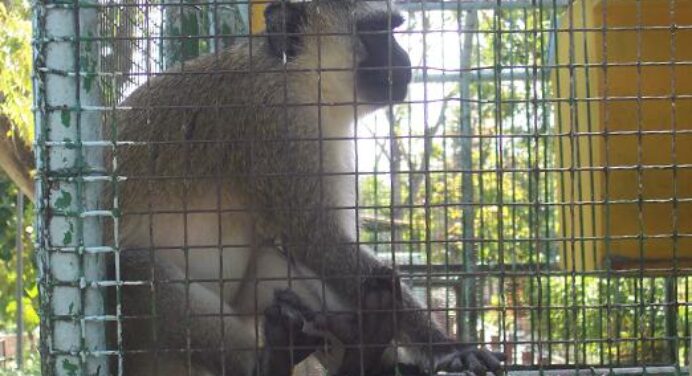 Parque Zoológico de Santiago