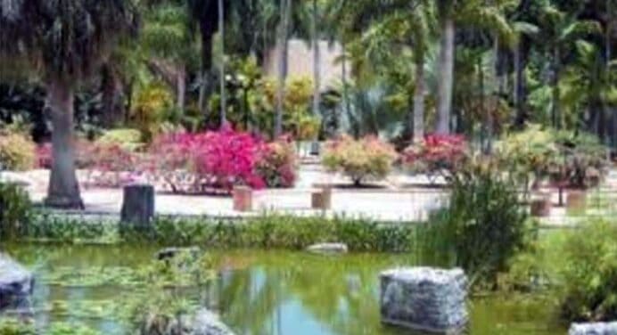 Jardín de los Helechos