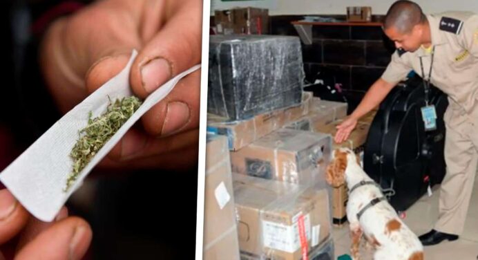 Tráfico Ilegal en Cuba: 22 Detenidos y Nuevas Drogas Sintéticas en el Radar de la Seguridad Nacional