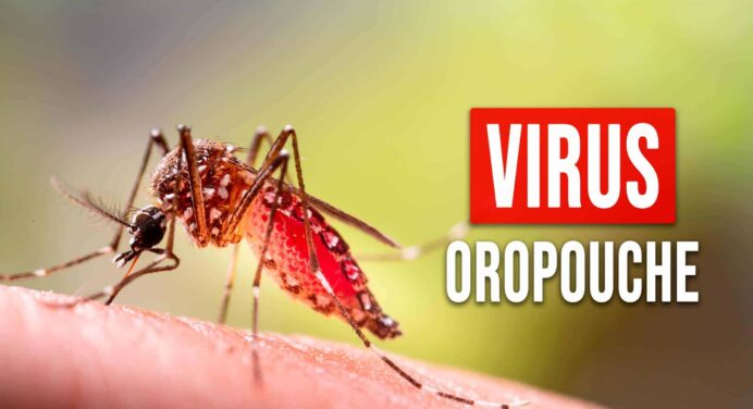 5 Millones Podrían Contraer Oropouche: Lo Que Debes Saber Urgentemente