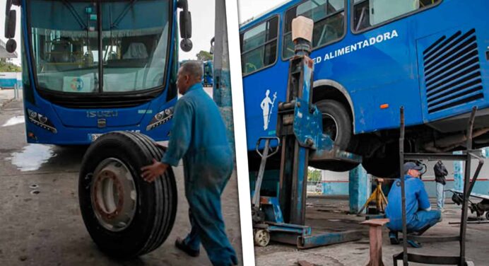 ¿Mejorará el Transporte en La Habana? 63 Ómnibus se Incorporan Tras Años Paralizados