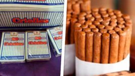 Informan Sobre Abastecimiento de Cigarro y Tabaco en Cuba