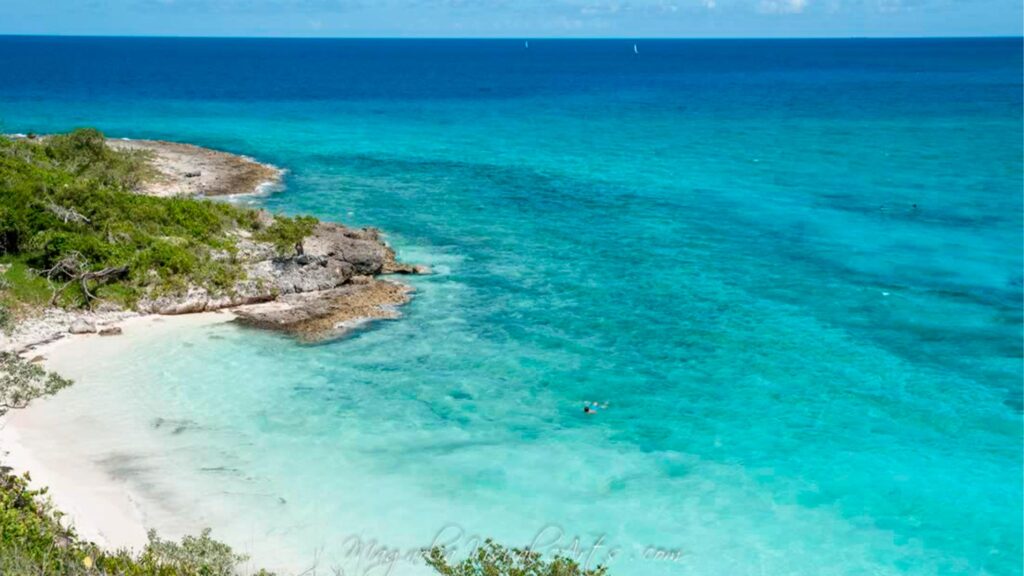 Actividades y excursiones cercanas