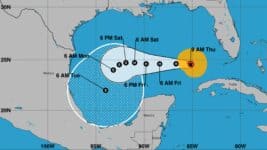 Actualización 7 de noviembre de 2024, 10:00 AM