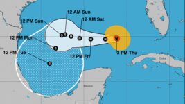 Actualización 7 de noviembre de 2024, 8:00 PM