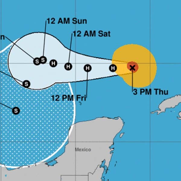 Actualización 7 de noviembre de 2024, 8:00 PM