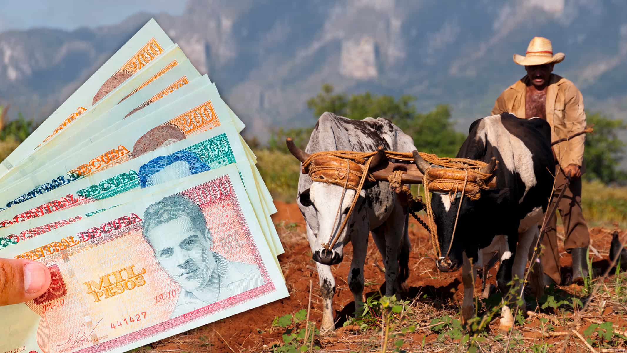 Agricultores Cubanos: Descubra Cómo Acceder a Financiamientos Internacionales 