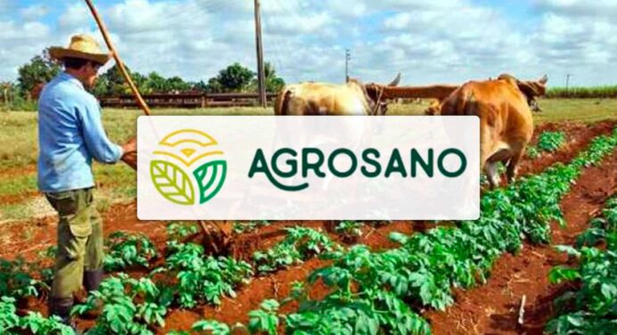 Agrosano: ¿Puede una Nueva Mipyme Cambiar el Rumbo del Agro Cubano?
