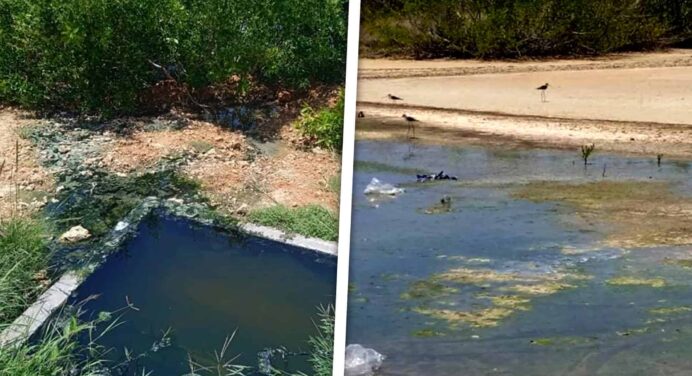 Alerta Ambiental en Trinidad: Derrame de Hotel Amenaza Manglares
