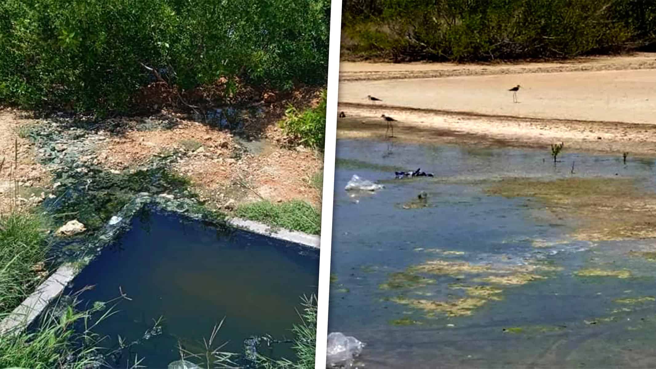 Alerta Ambiental en Trinidad: Derrame de Hotel Amenaza Manglares