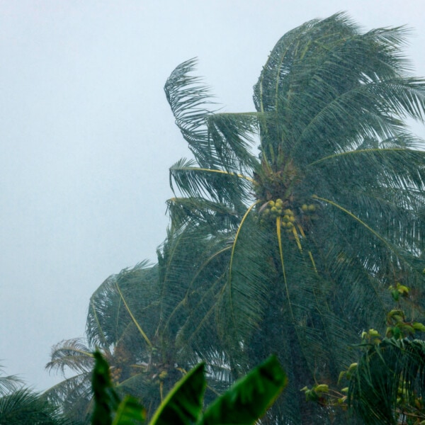 ¿Alerta de Ciclón Tropical para el Oriente de Cuba? Centro Nacional de Huracanes Informa