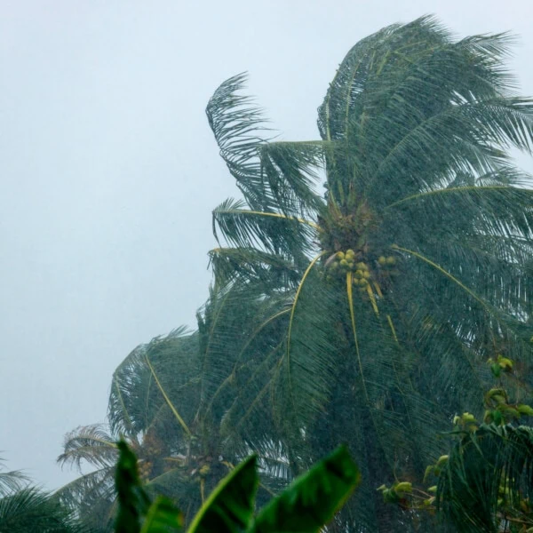 ¿Alerta de Ciclón Tropical para el Oriente de Cuba? Centro Nacional de Huracanes Informa