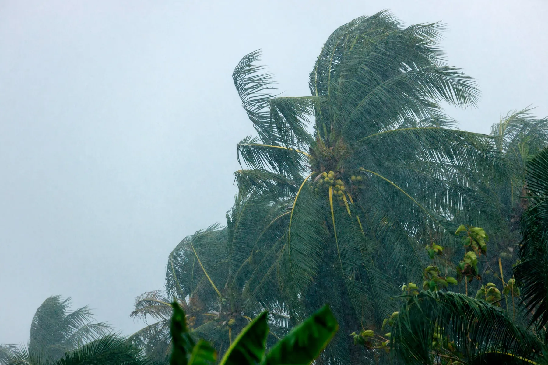 ¿Alerta de Ciclón Tropical para el Oriente de Cuba? Centro Nacional de Huracanes Informa