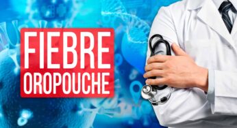 Alerta en Santiago de Cuba: Virus de la Fiebre de Oropouche Detectado