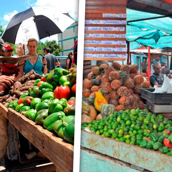 Anuncia Gobierno de La Habana Feria Agropecuaria en Saludo al Primero de Mayo