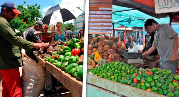 Anuncia Gobierno de La Habana Feria Agropecuaria en Saludo al Primero de Mayo