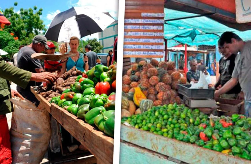 Anuncia Gobierno de La Habana Feria Agropecuaria en Saludo al Primero de Mayo