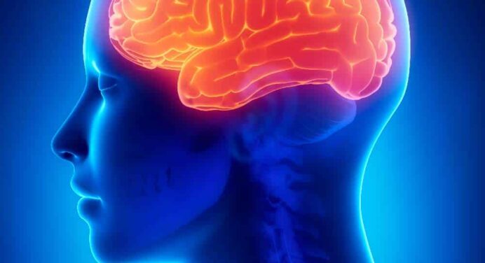 CEMO Apk Cubana para el diagnóstico oportuno de enfermedades cerebro-vasculares