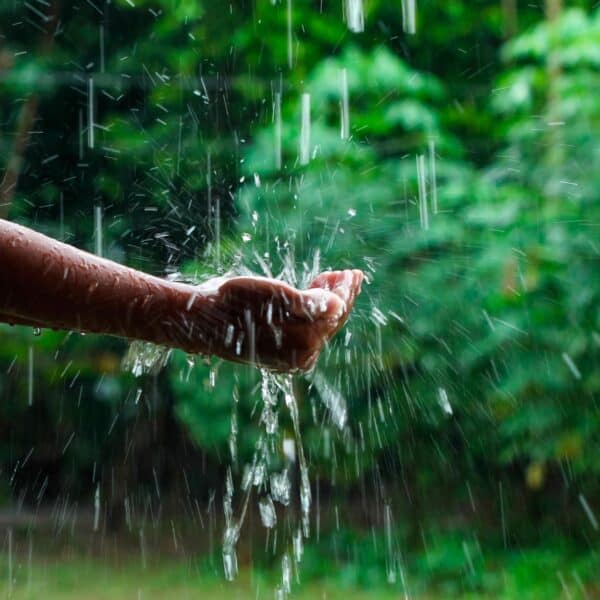 Aprobada Primera Mipyme en Cuba para el Aprovechamiento del Agua de Lluvia