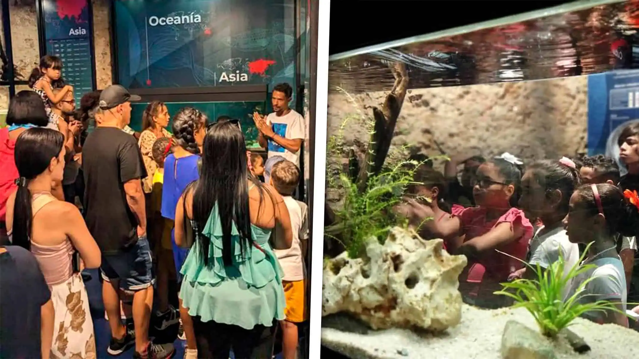 Aquarium de La Habana Vieja Anuncia Apertura con Nuevo Horario