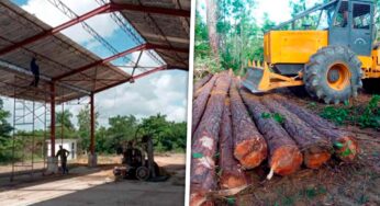 Aserrío Automatizado en el Oriente de Cuba Promete Impulsar la Construcción de Viviendas