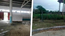 Asesinan a un Hombre en Camagüey Durante Robo a un Almacén de Alimentos