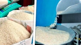 Increíble: Así Está el Precio del Arroz en Cuba: Hasta 340 Pesos la Libra