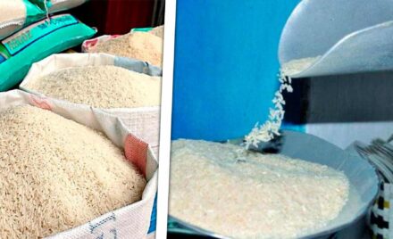 Increíble: Así Está el Precio del Arroz en Cuba: Hasta 340 Pesos la Libra
