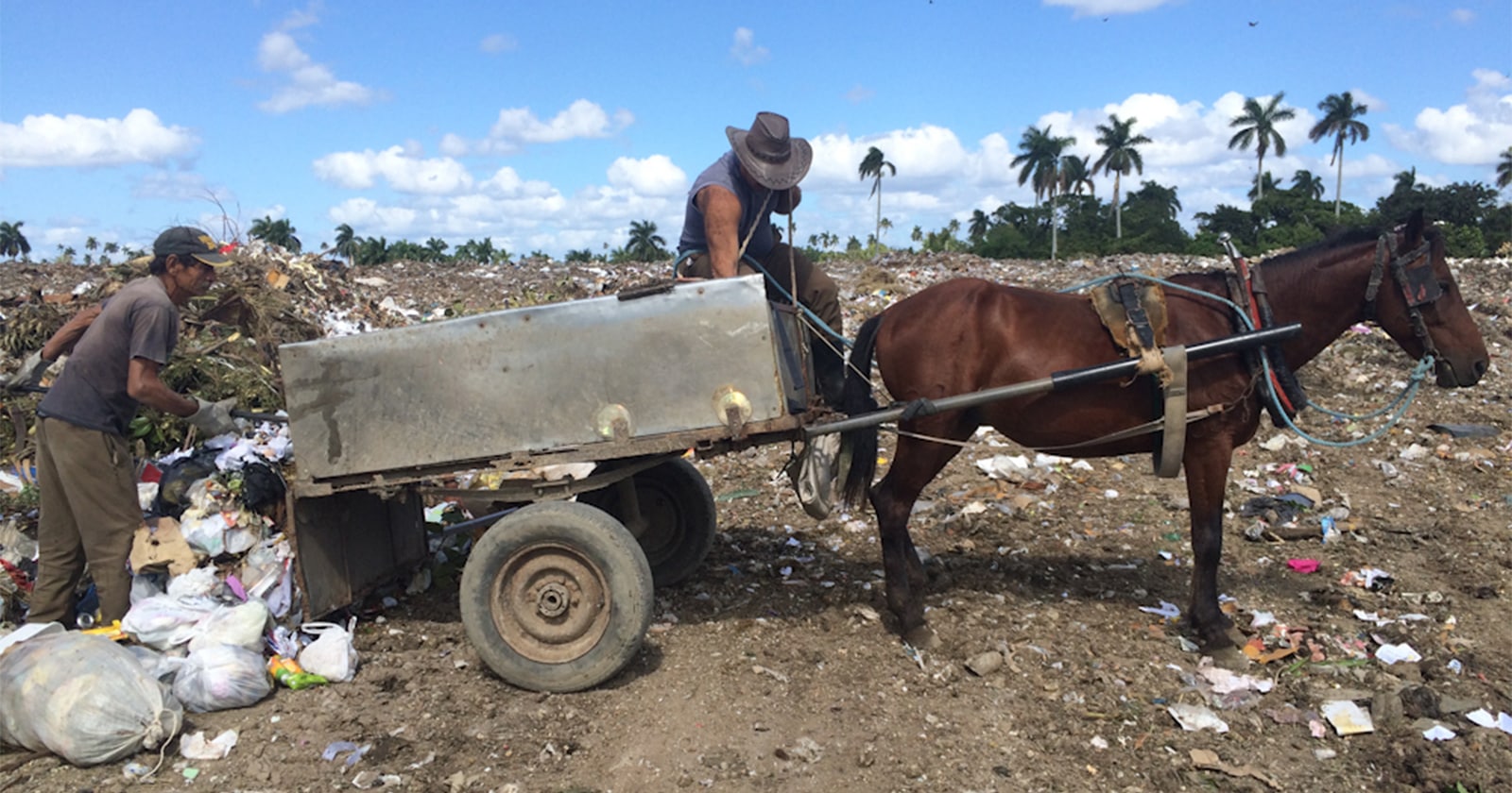 Atención Recolectores de Desechos Sólidos con Tracción Animal: Acuerdan Rebaja de Impuestos en Las Tunas