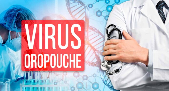 ¡Atención! Todo lo que Debes Saber Sobre el Virus del Oropouche que se Propaga en Cuba