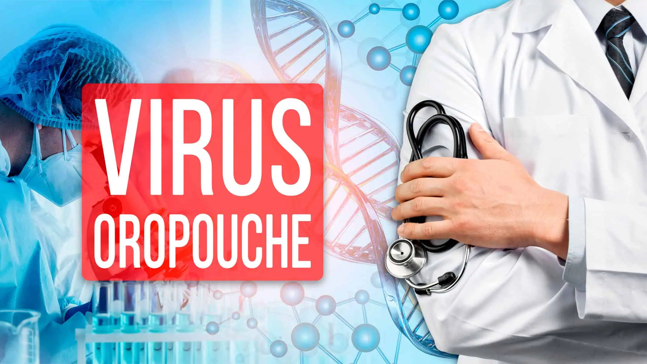 ¡Atención! Todo lo que Debes Saber Sobre el Virus del Oropouche que se Propaga en Cuba