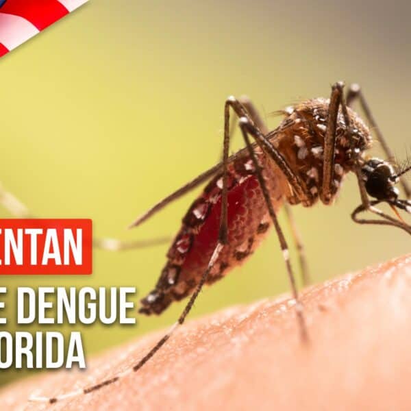 Aumentan Casos de Dengue en Florida Tras Paso de Huracán Milton