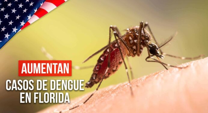 Aumentan Casos de Dengue en Florida Tras Paso de Huracán Milton