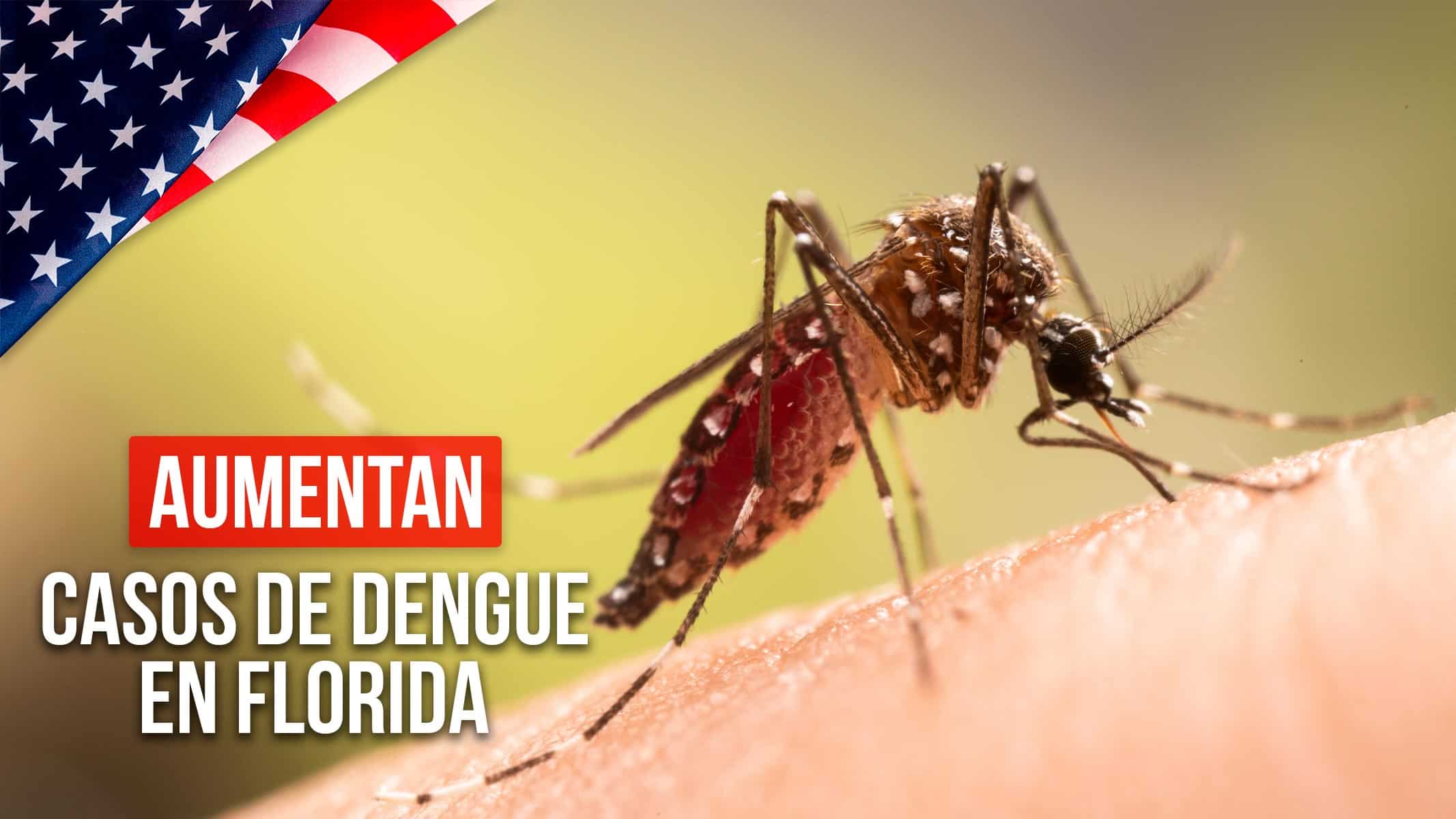 Aumentan Casos de Dengue en Florida Tras Paso de Huracán Milton