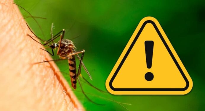 Aumentarán los Casos de Dengue en las Américas: ¿Qué Pasará con Cuba?