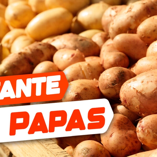 Más de 1200 Libras de Papas: Así es el Faltante Detectado en Mercado de La Habana