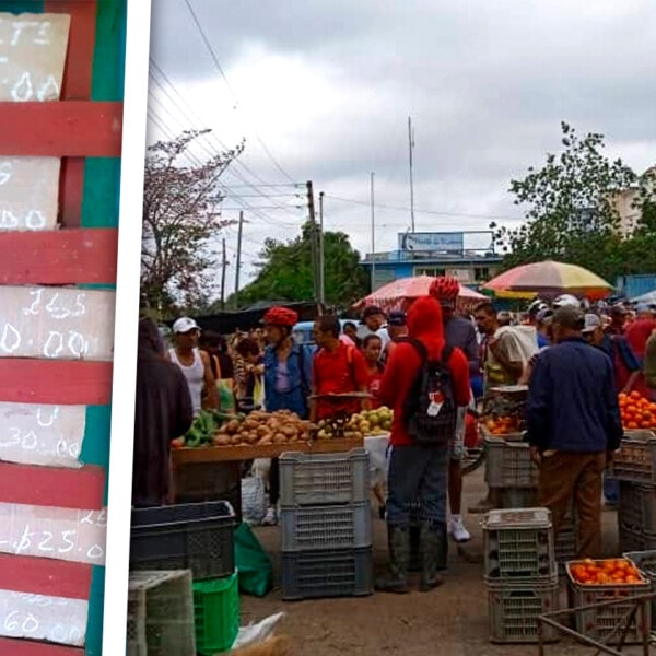 Precios Abusivos en Feria Agropecuaria en Cuba: Así Estaban Sobrevalorando los Productos