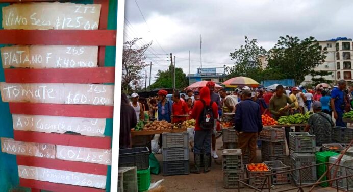 Precios Abusivos en Feria Agropecuaria en Cuba: Así Estaban Sobrevalorando los Productos
