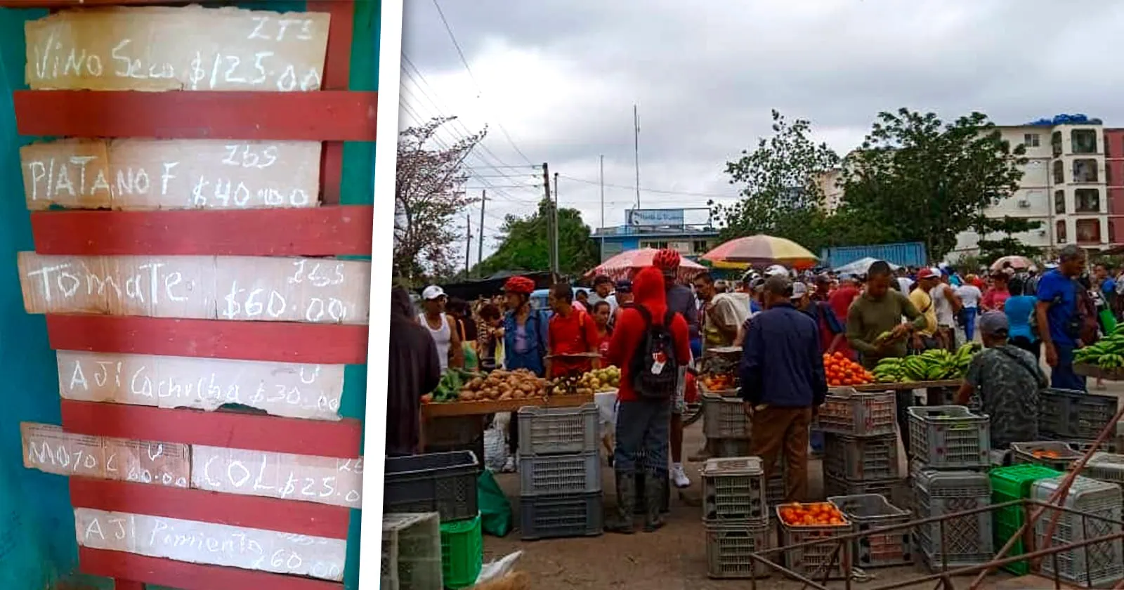 Autoridades Responden Ante Precios Abusivos en Feria Agropecuaria
