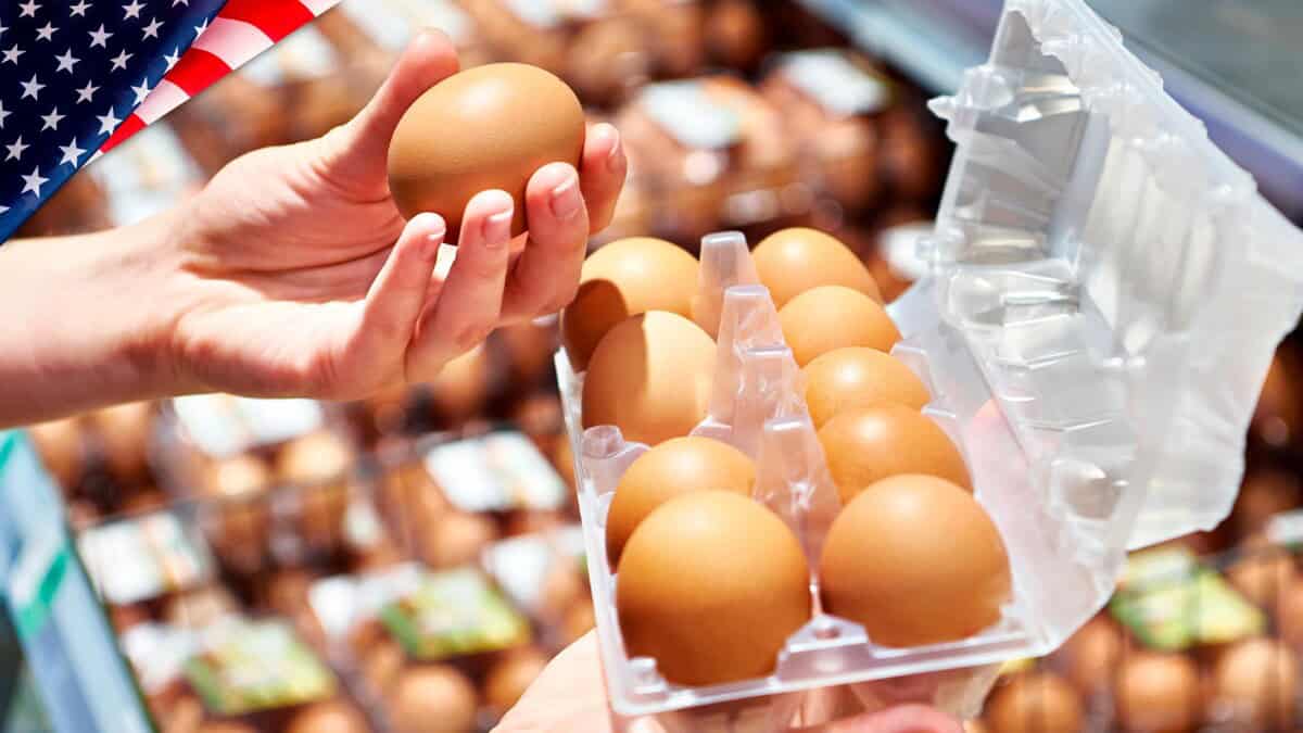 Baja el Precio de los Huevos en EE.UU.: ¿Alivio Temporal o Cambio Duradero?
