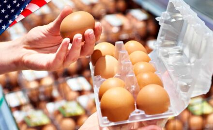 Baja el Precio de los Huevos en EE.UU.: ¿Alivio Temporal o Cambio Duradero?