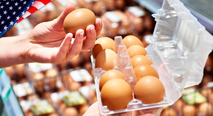 Baja el Precio de los Huevos en EE.UU.: ¿Alivio Temporal o Cambio Duradero?