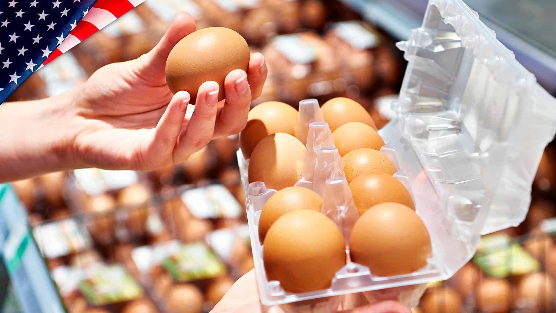 Baja el Precio de los Huevos en EE.UU.: ¿Alivio Temporal o Cambio Duradero?